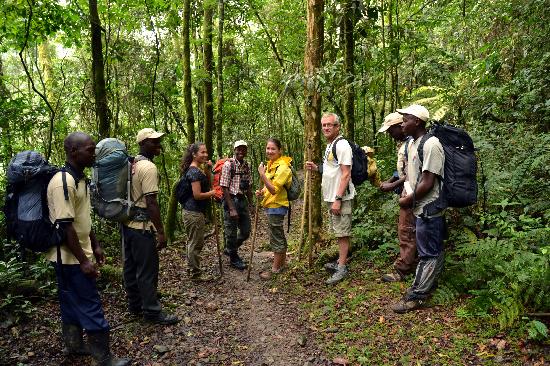 8-Day Rwanda Safaris Adventure Combining (Akagera, Volcanoes & Nyungwe)